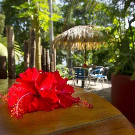 Villas Del Caribe Puerto Viejo de Talamanca Екстер'єр фото