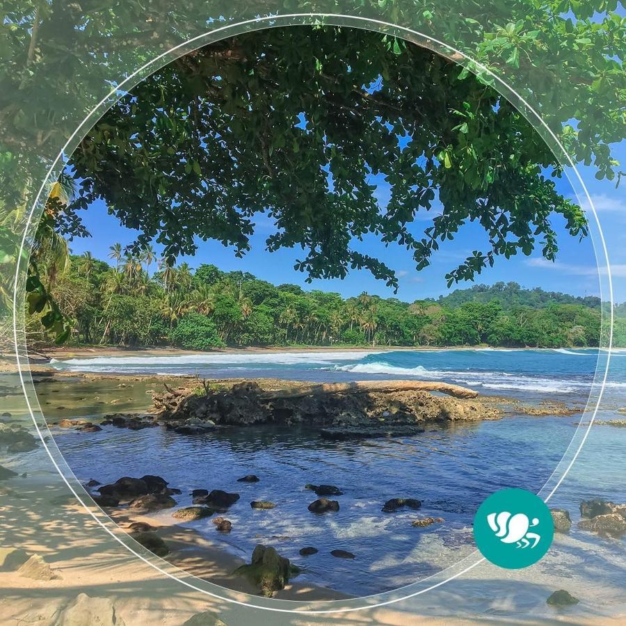 Villas Del Caribe Puerto Viejo de Talamanca Екстер'єр фото