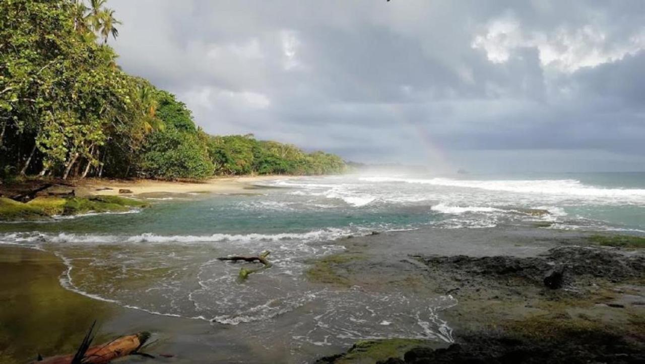 Villas Del Caribe Puerto Viejo de Talamanca Екстер'єр фото