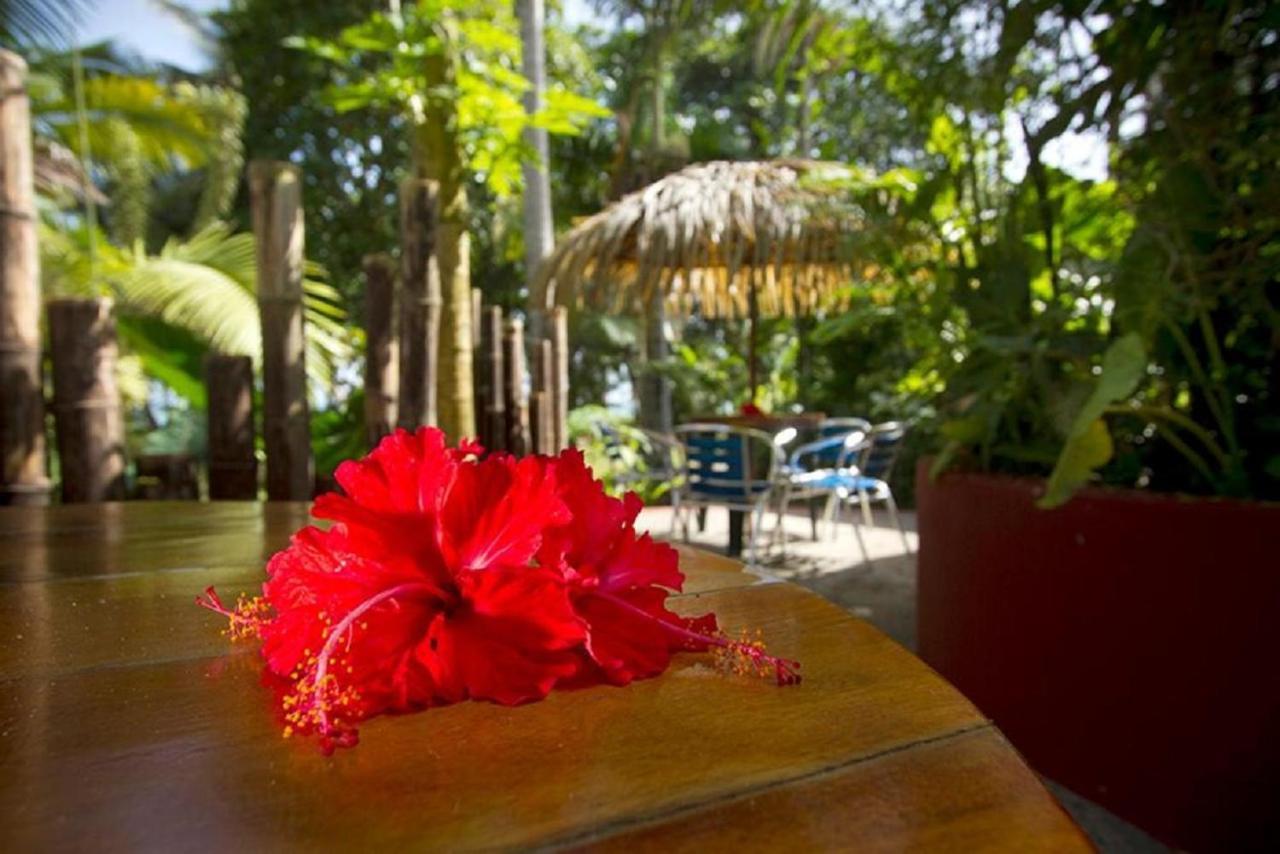 Villas Del Caribe Puerto Viejo de Talamanca Екстер'єр фото