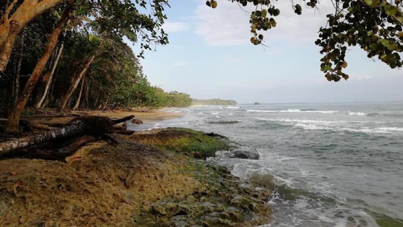 Villas Del Caribe Puerto Viejo de Talamanca Екстер'єр фото