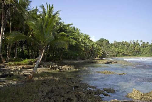 Villas Del Caribe Puerto Viejo de Talamanca Екстер'єр фото