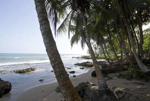 Villas Del Caribe Puerto Viejo de Talamanca Екстер'єр фото